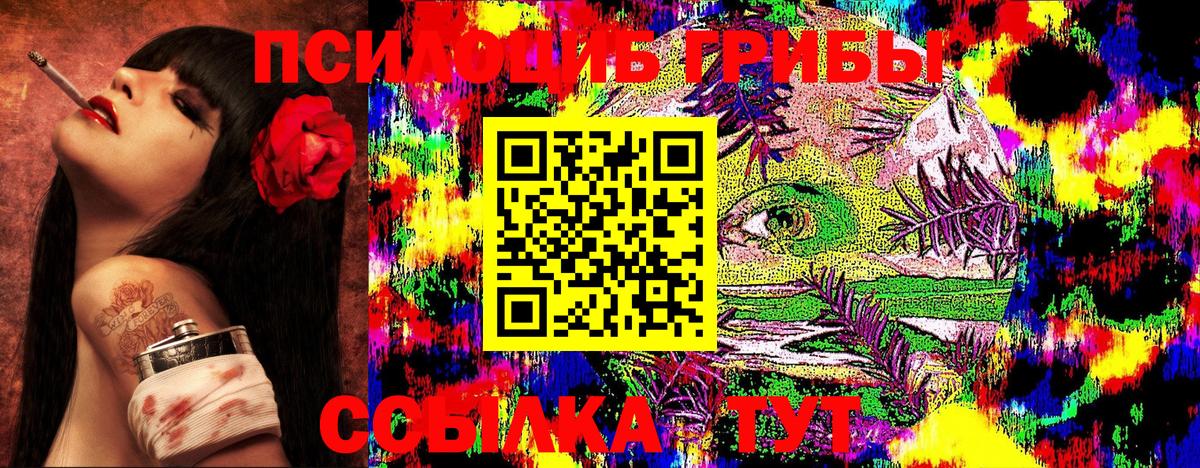 Галлюциногенные грибы Cubensis  Вход с VPN  купить  цена  Лянтор  Псилоцибиновые грибы Magic Shrooms 